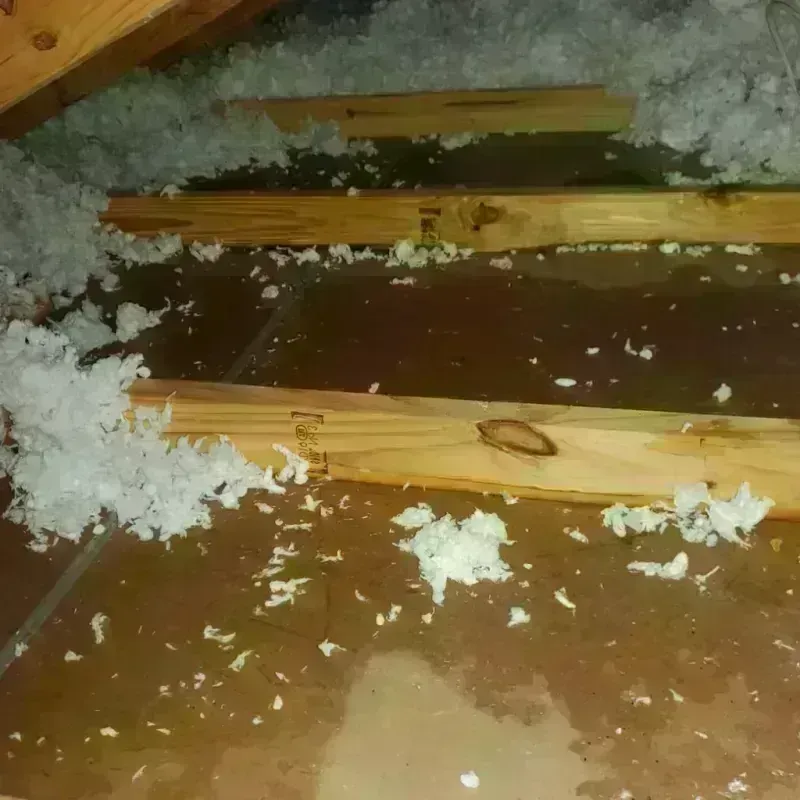 Attic Water Damage in Louisville, KY