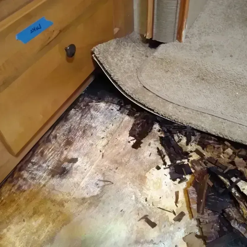 Wood Floor Water Damage in Louisville, KY